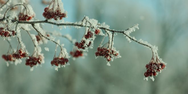 Desteklemeler Ödendi!
